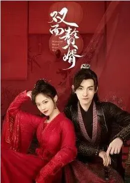 《双面赘婿》剧情深度解析：谁说赘婿不能逆袭？看小人物的红色传奇！